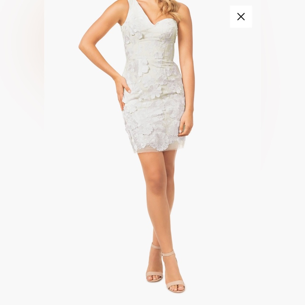 Dress the Population Maddie 3D Floral Appliqué Dress One Shoulder Ivory Bridal M